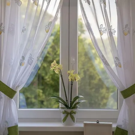 Exotic Rami's Apartment